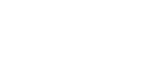 Spark Academy